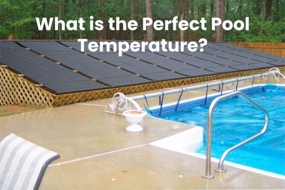 What is the Perfect Pool Temperature?