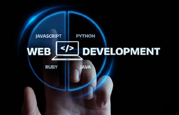 Web Development (3)