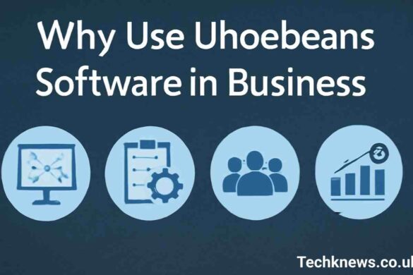 Ways to Use Uhoebeans Software