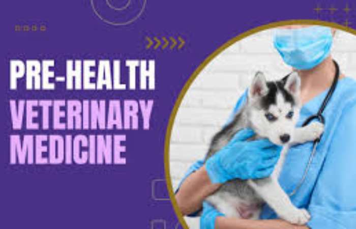 Veterinary Medicine Write for Us