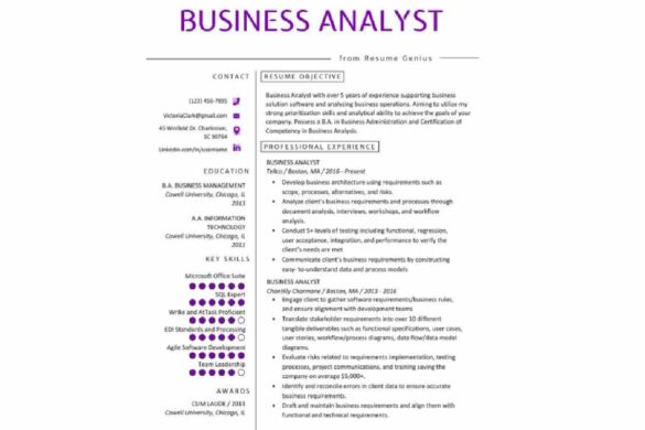 Business Analyst Resume